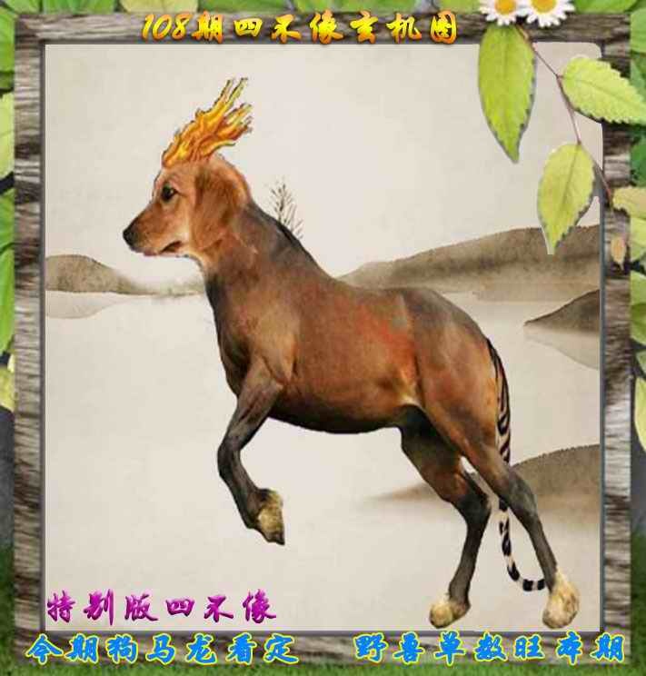 四不像特别版 第108期