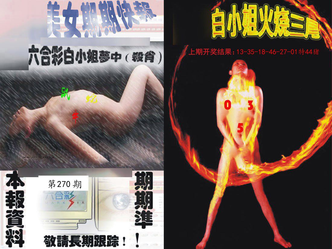 环球美女特码 第270期