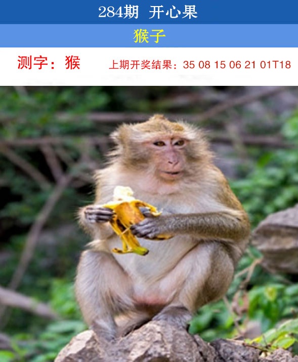 开心果 第284期