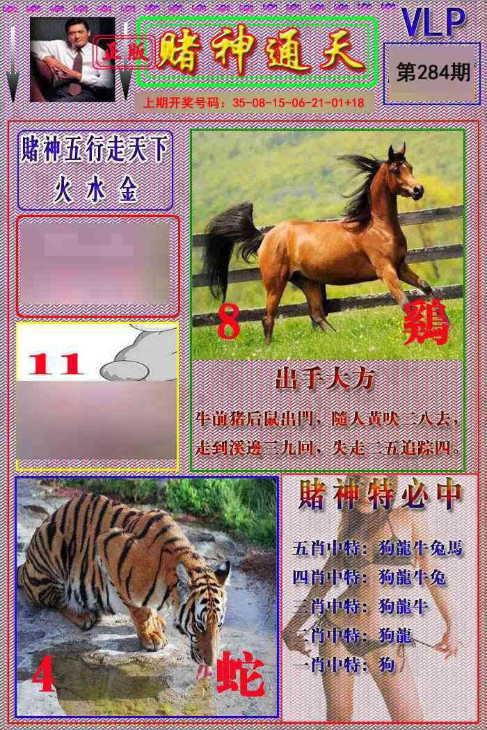 赌神通天报 第284期