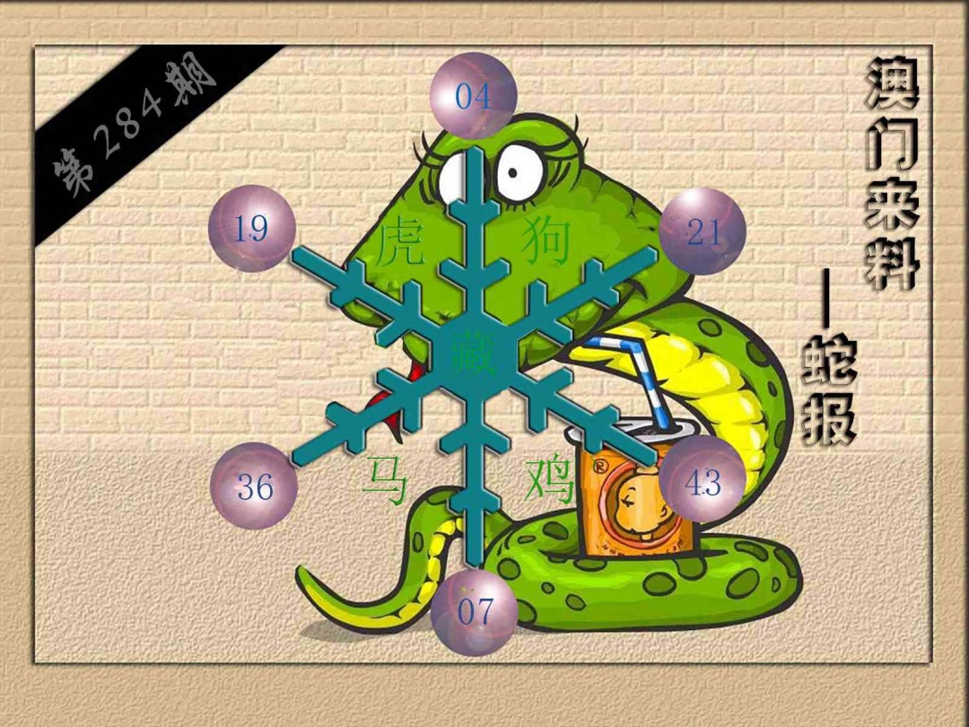 (来料)蛇报 第284期