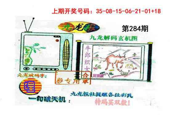 九龙报 第284期