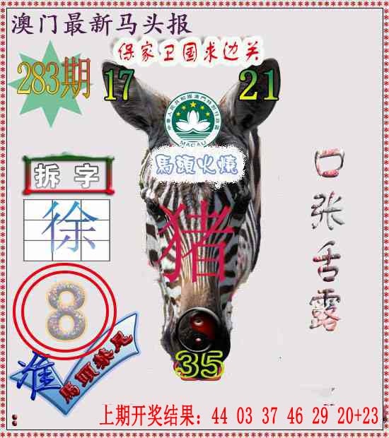 马头报 第283期