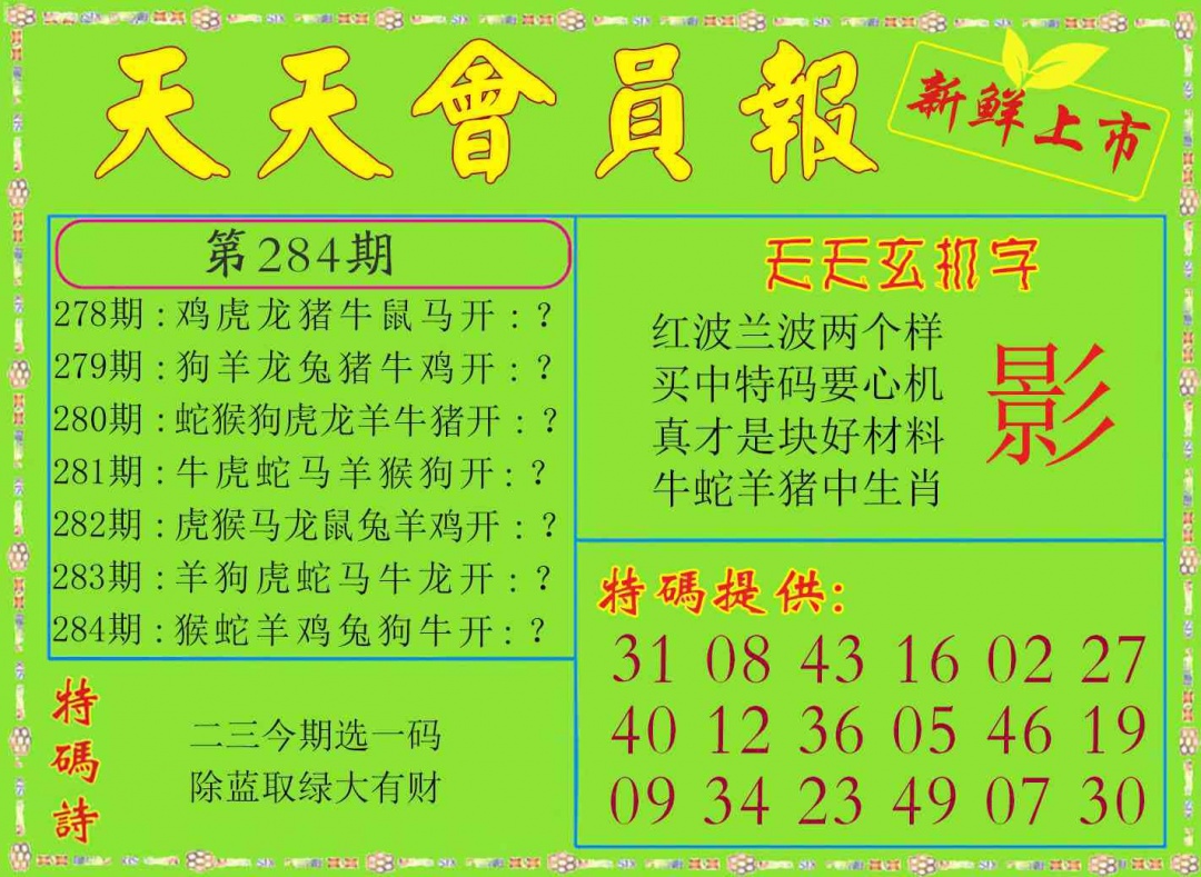 天天会员报 第284期
