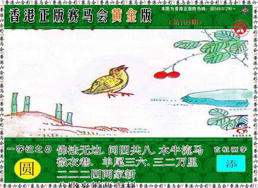 赛马会黄金版 第108期