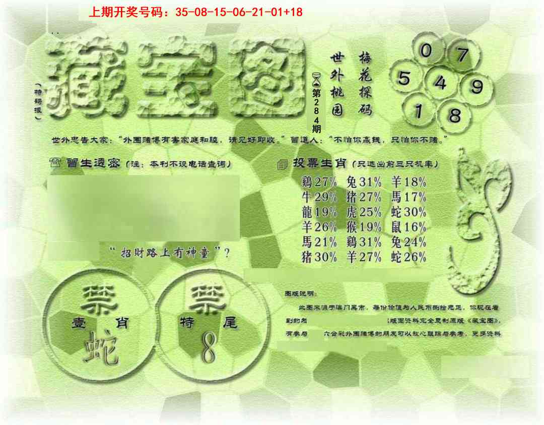 假老藏宝图 第284期