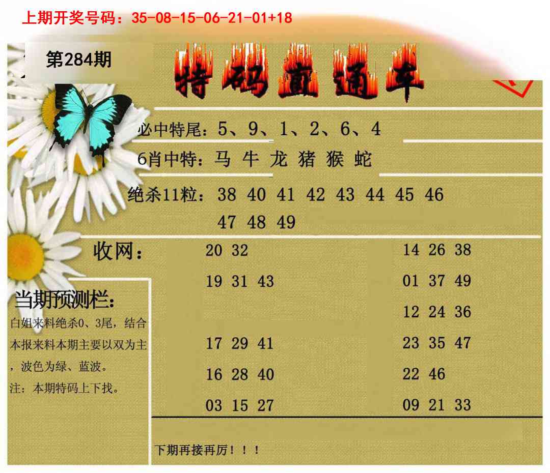特码直通车 第284期