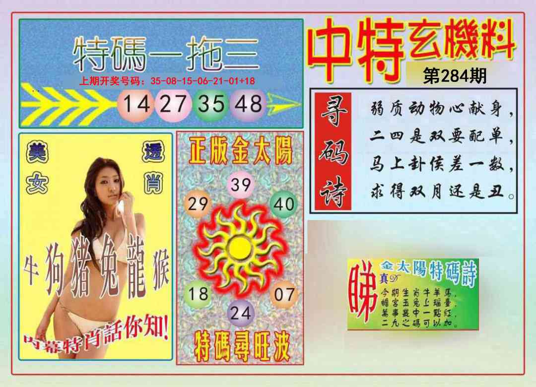 中特玄机料 第284期