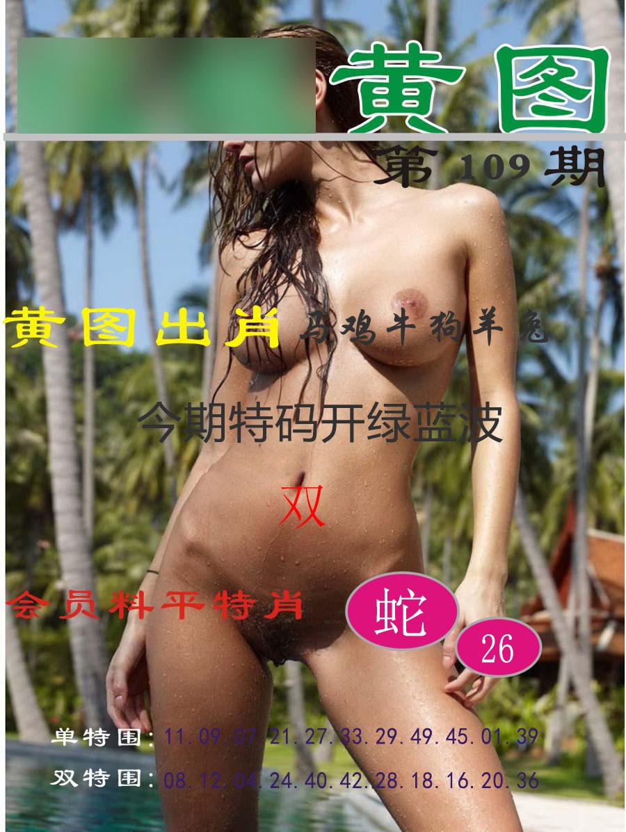 黄图 第109期