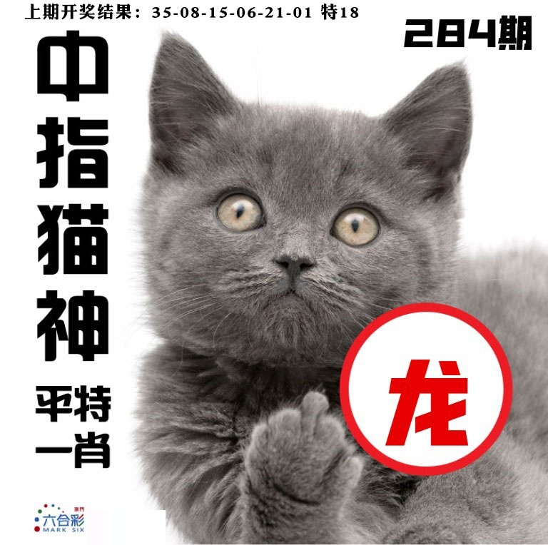中指猫神 第284期