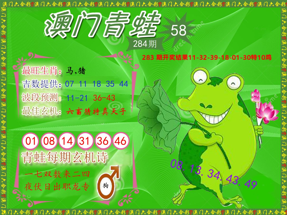 青蛙系列58 第284期