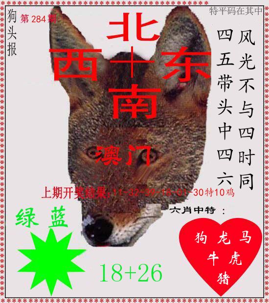 狗头报 第284期