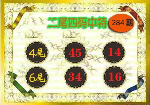 二尾四码中特 第284期