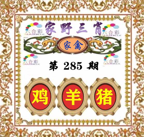 家野三肖 第285期