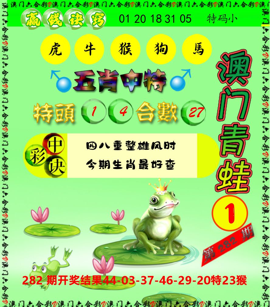青蛙系列1 第283期