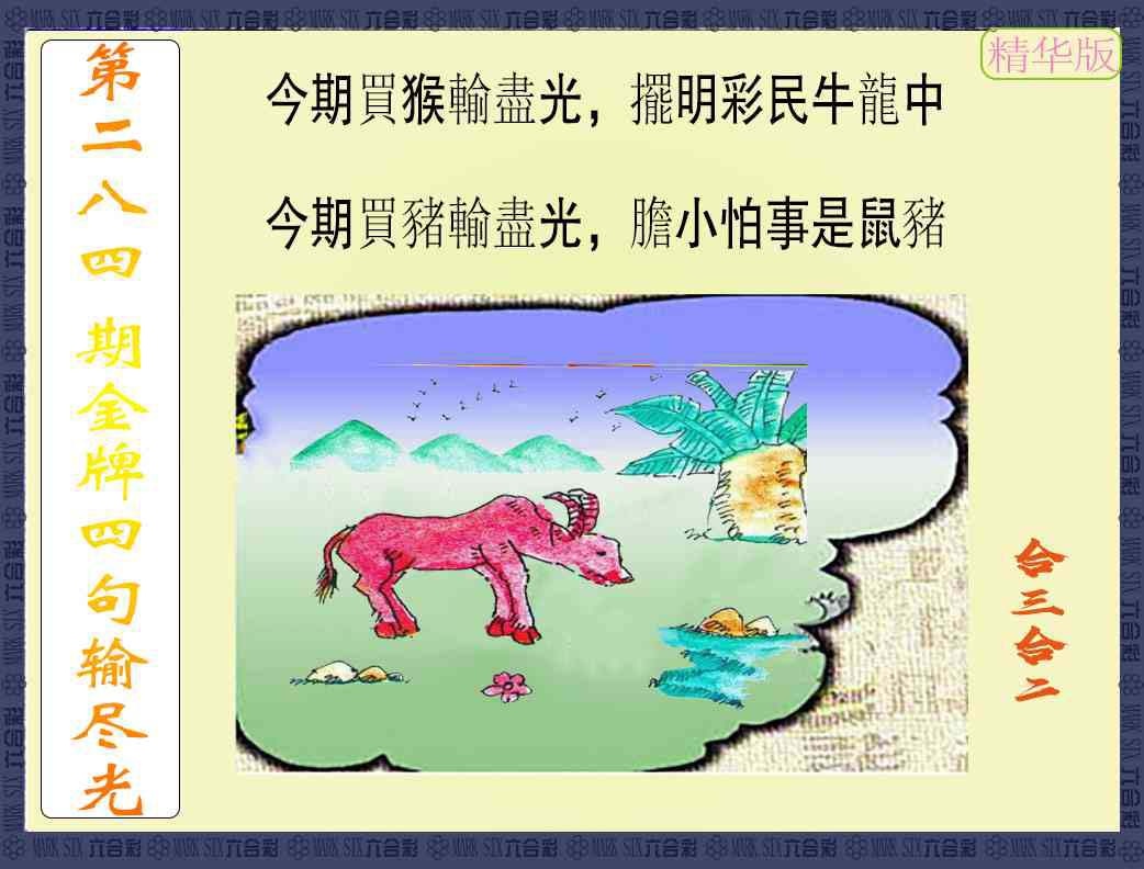 金牌四句输尽光 第284期