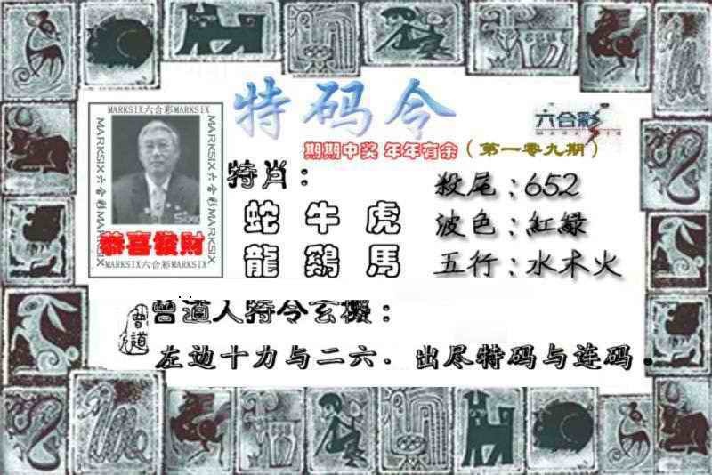 特准特码令 第109期