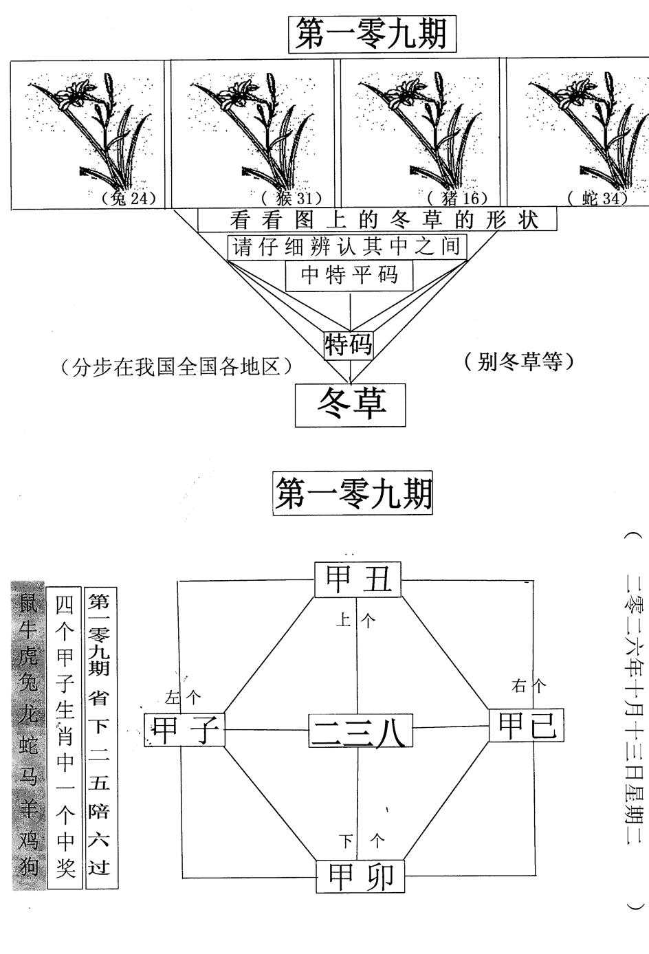 每期一花草 第109期