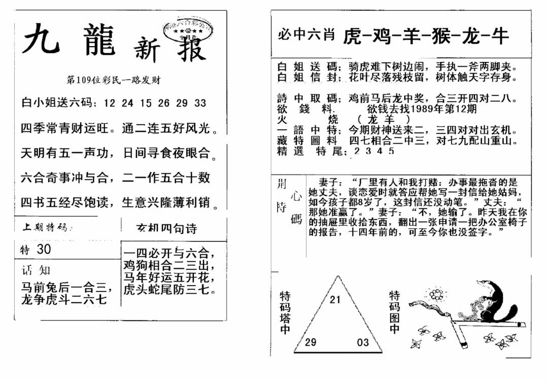 九龙新报(新) 第109期