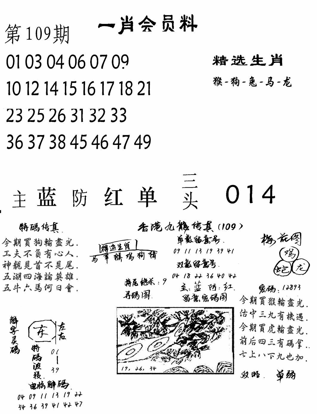 一肖会员料 第109期