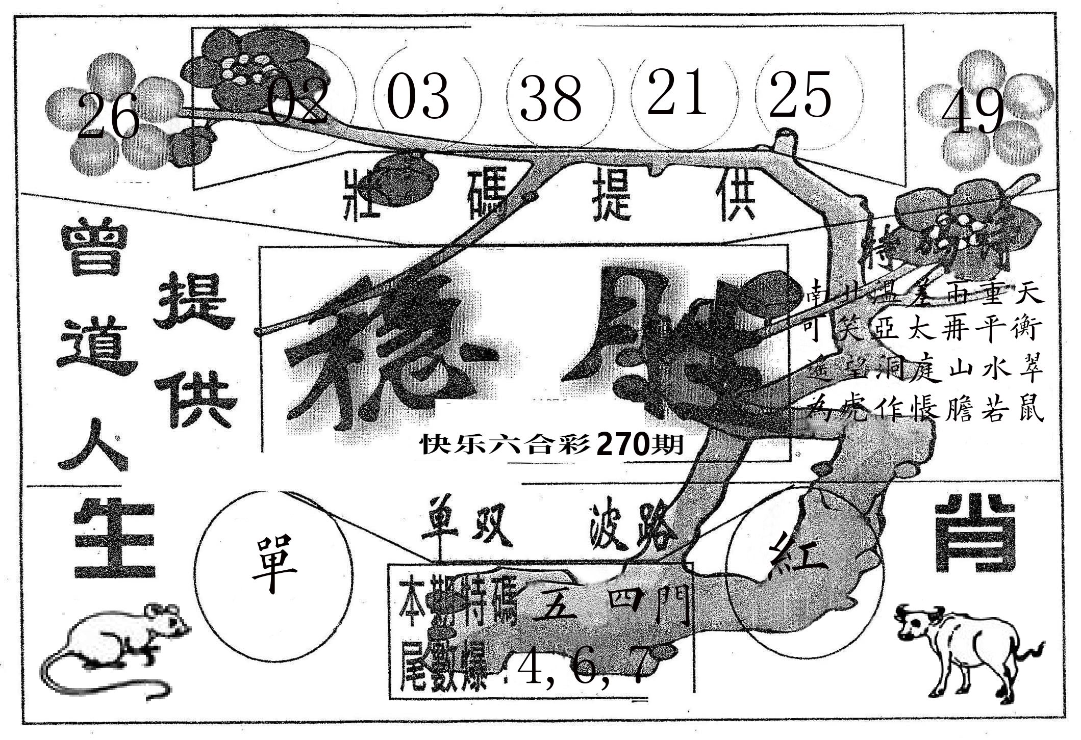 稳胜 第270期