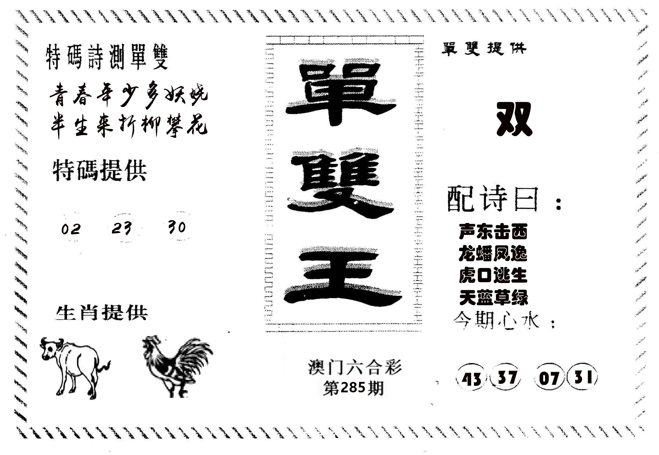 单双王B 第285期